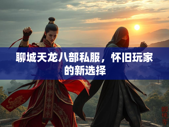 聊城天龙八部私服，怀旧玩家的新选择  第2张