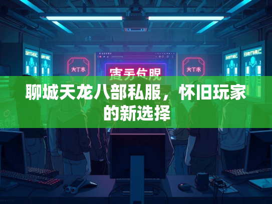 聊城天龙八部私服，怀旧玩家的新选择  第1张