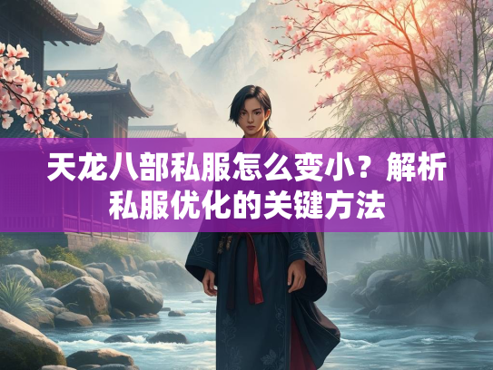 天龙八部私服怎么变小？解析私服优化的关键方法  第2张