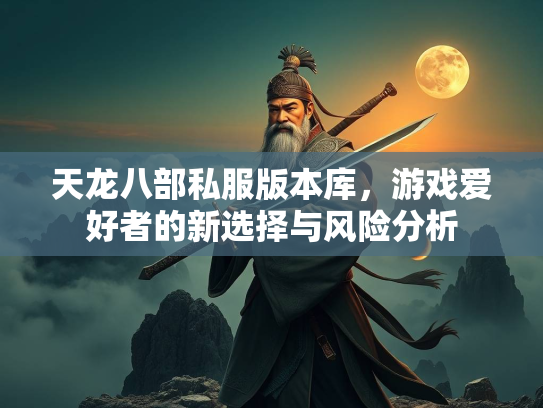 天龙八部私服版本库，游戏爱好者的新选择与风险分析  第3张