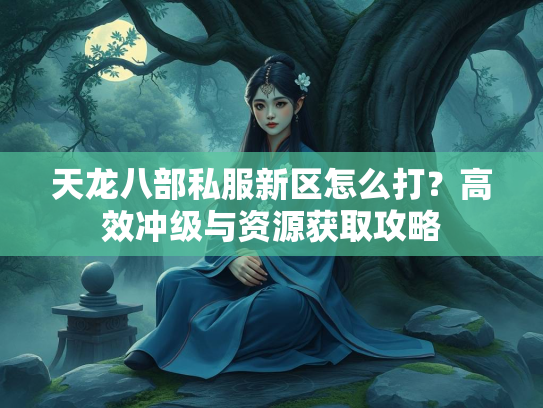天龙八部私服新区怎么打？高效冲级与资源获取攻略  第2张
