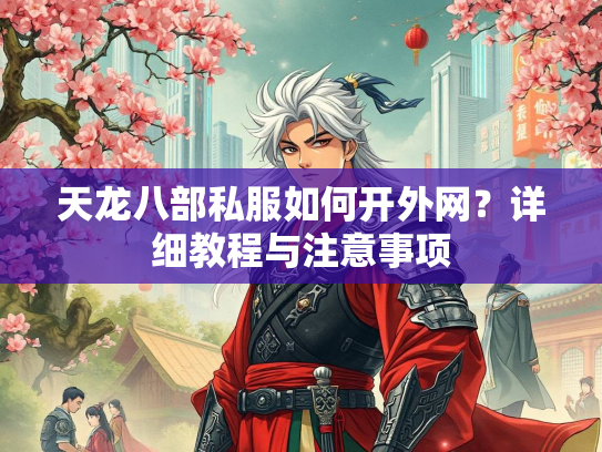 天龙八部私服如何开外网？详细教程与注意事项  第2张