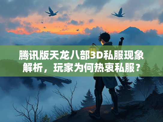 腾讯版天龙八部3D私服现象解析，玩家为何热衷私服？  第2张