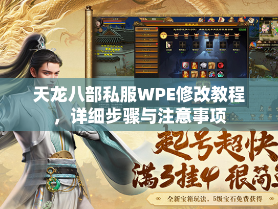 天龙八部私服WPE修改教程，详细步骤与注意事项  第2张