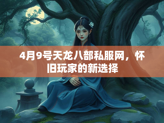 4月9号天龙八部私服网，怀旧玩家的新选择  第2张