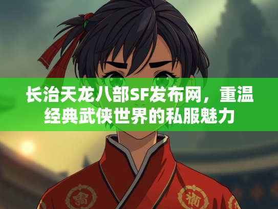 长治天龙八部SF发布网，重温经典武侠世界的私服魅力  第3张