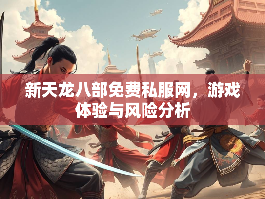 新天龙八部免费私服网，游戏体验与风险分析  第2张