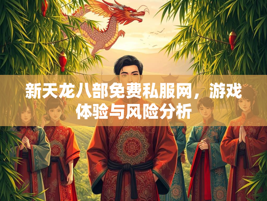 新天龙八部免费私服网，游戏体验与风险分析  第1张