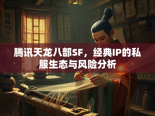 腾讯天龙八部SF，经典IP的私服生态与风险分析  第2张