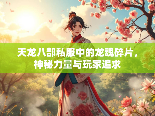 天龙八部私服中的龙魂碎片，神秘力量与玩家追求  第2张