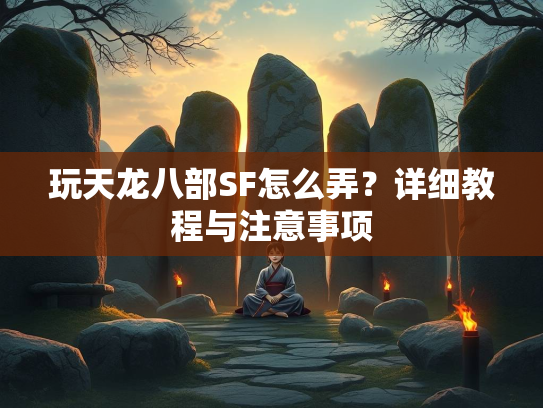 玩天龙八部SF怎么弄？详细教程与注意事项  第3张