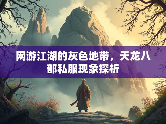 网游江湖的灰色地带，天龙八部私服现象探析  第2张