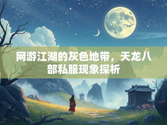 网游江湖的灰色地带，天龙八部私服现象探析  第3张