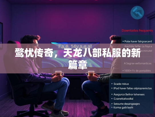 鹜忧传奇，天龙八部私服的新篇章  第2张