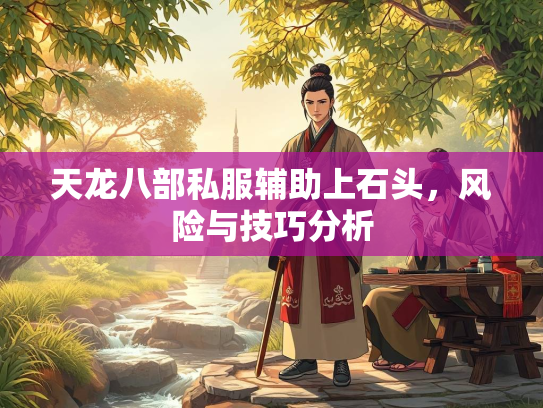 天龙八部私服辅助上石头，风险与技巧分析  第2张