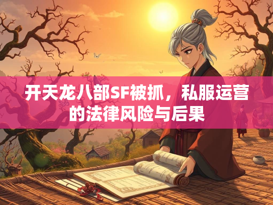 开天龙八部SF被抓，私服运营的法律风险与后果  第2张