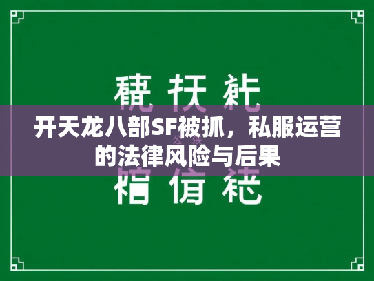 开天龙八部SF被抓，私服运营的法律风险与后果  第3张