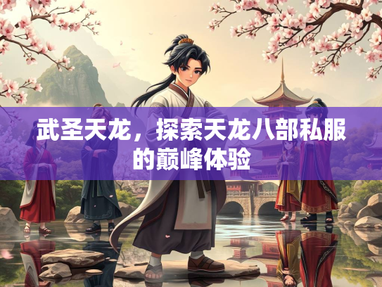 武圣天龙，探索天龙八部私服的巅峰体验  第3张