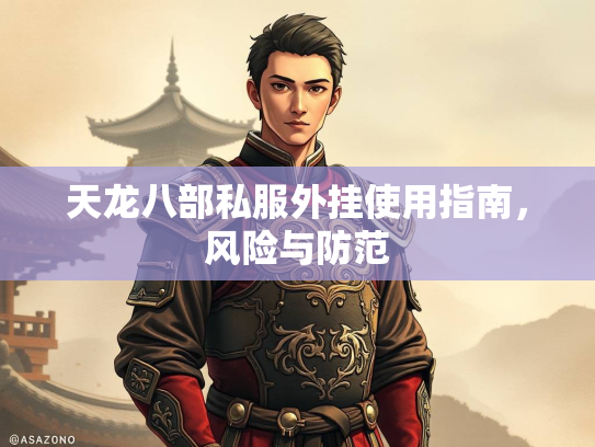 天龙八部私服外挂使用指南，风险与防范  第2张