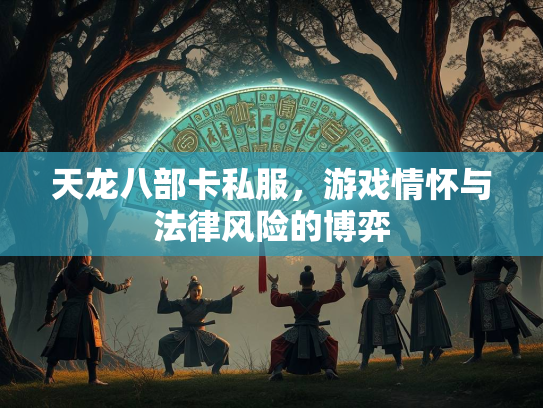 天龙八部卡私服，游戏情怀与法律风险的博弈  第2张