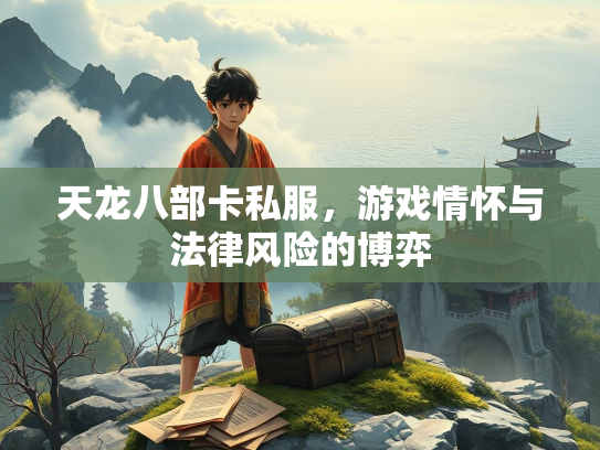 天龙八部卡私服，游戏情怀与法律风险的博弈  第3张