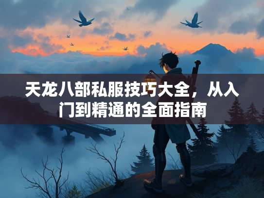 天龙八部私服技巧大全，从入门到精通的全面指南  第3张