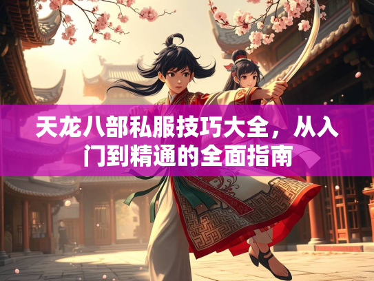 天龙八部私服技巧大全，从入门到精通的全面指南  第1张