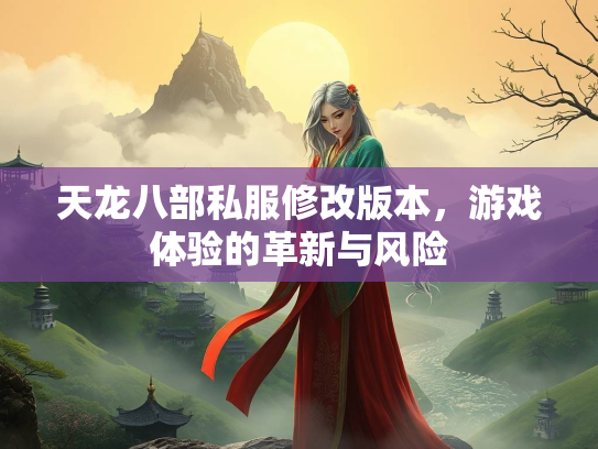 天龙八部私服修改版本，游戏体验的革新与风险  第1张