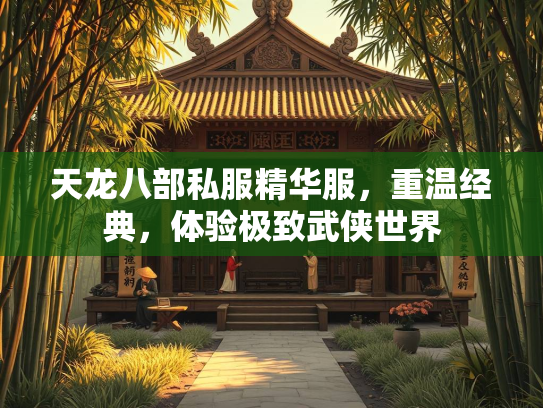 天龙八部私服精华服，重温经典，体验极致武侠世界  第3张