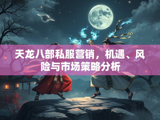 天龙八部私服营销，机遇、风险与市场策略分析  第1张