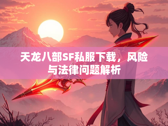 天龙八部SF私服下载，风险与法律问题解析  第2张