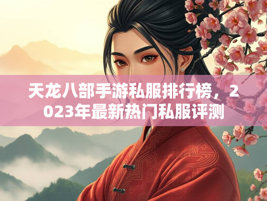 天龙八部手游私服排行榜，2023年最新热门私服评测  第3张