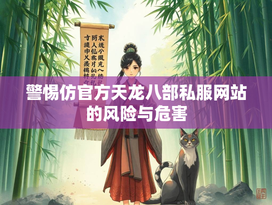 警惕仿官方天龙八部私服网站的风险与危害  第2张