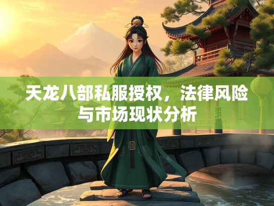 天龙八部私服授权，法律风险与市场现状分析  第1张