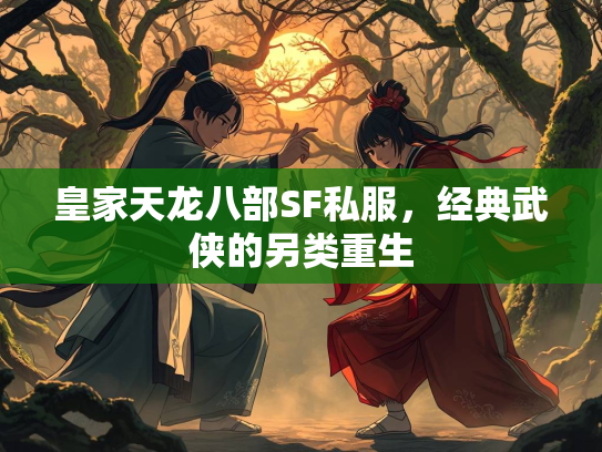 皇家天龙八部SF私服，经典武侠的另类重生  第2张