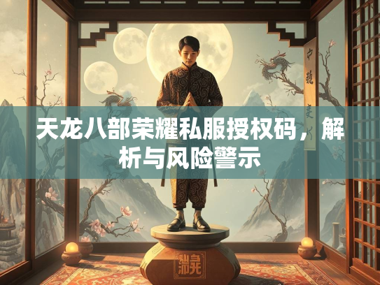 天龙八部荣耀私服授权码，解析与风险警示  第2张