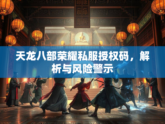 天龙八部荣耀私服授权码，解析与风险警示  第3张