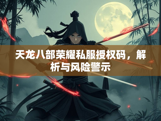 天龙八部荣耀私服授权码，解析与风险警示  第1张