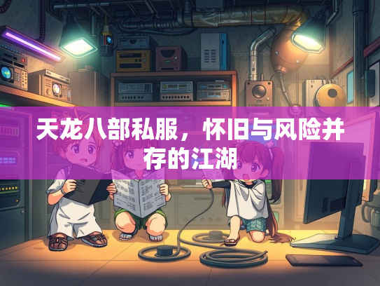 天龙八部私服，怀旧与风险并存的江湖  第2张
