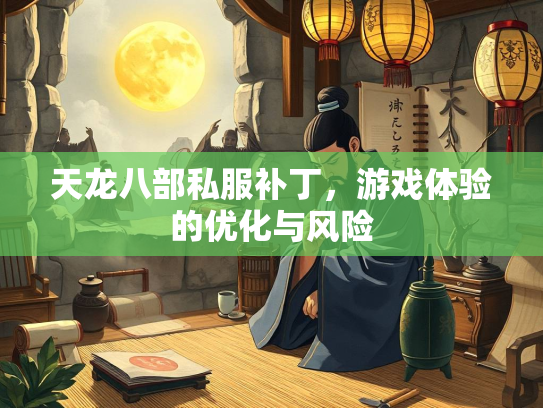 天龙八部私服补丁，游戏体验的优化与风险  第1张