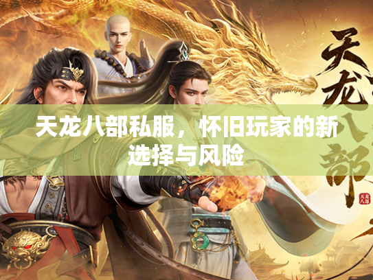 天龙八部私服，怀旧玩家的新选择与风险  第2张