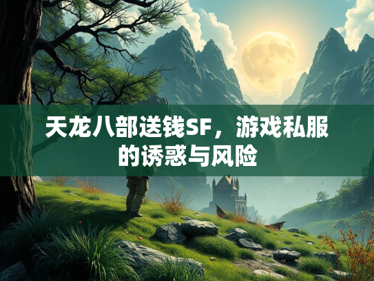 天龙八部送钱SF，游戏私服的诱惑与风险  第1张