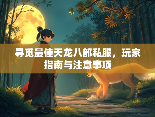 寻觅最佳天龙八部私服，玩家指南与注意事项  第1张