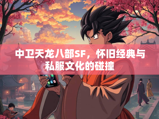 中卫天龙八部SF，怀旧经典与私服文化的碰撞  第1张