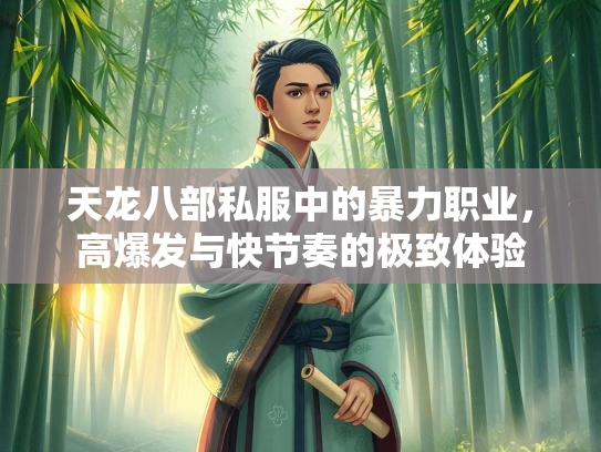 天龙八部私服中的暴力职业，高爆发与快节奏的极致体验  第1张