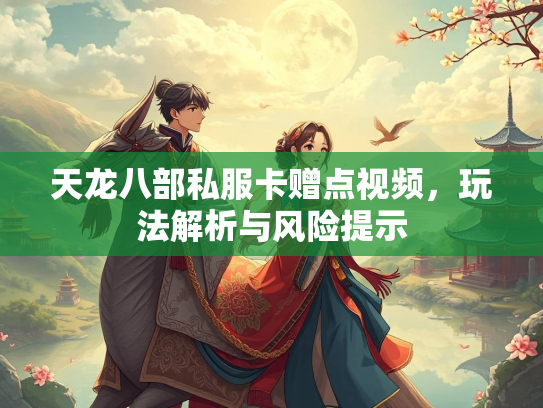 天龙八部私服卡赠点视频，玩法解析与风险提示  第1张