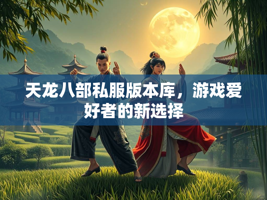 天龙八部私服版本库，游戏爱好者的新选择  第2张