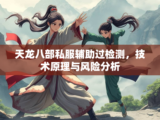 天龙八部私服辅助过检测，技术原理与风险分析  第2张