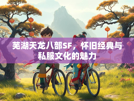 芜湖天龙八部SF，怀旧经典与私服文化的魅力  第3张