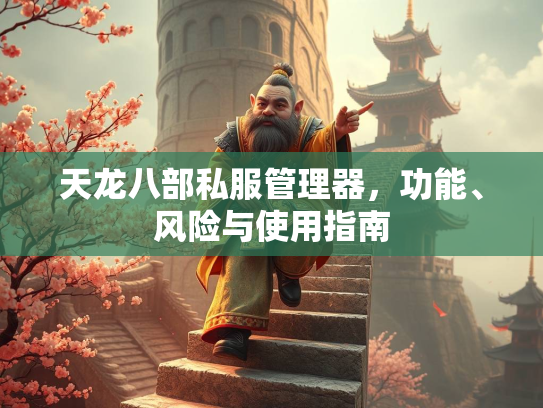 天龙八部私服管理器，功能、风险与使用指南  第2张